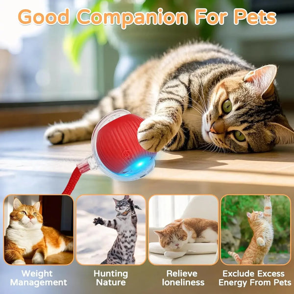 Dog-Cat-Interactive-Ball-Toy-Automatic-Rolling-Ball-Faux-Tail-Rechargeable-Smart-Pet-Electric-Toy-Dog.jpg